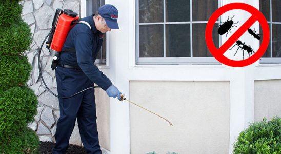 Beyağaç Kemirgen İlaçlama böcek ilaçlama ve haşere kontrolü — ilaclama-tr.com